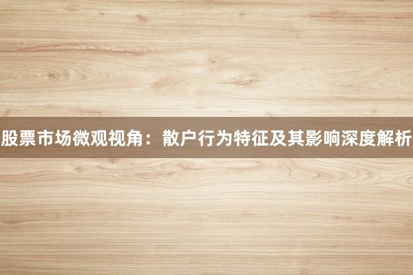 股票市场微观视角：散户行为特征及其影响深度解析