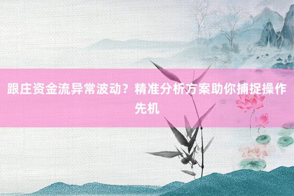 跟庄资金流异常波动？精准分析方案助你捕捉操作先机
