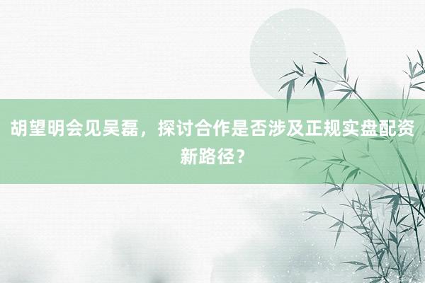 胡望明会见吴磊，探讨合作是否涉及正规实盘配资新路径？