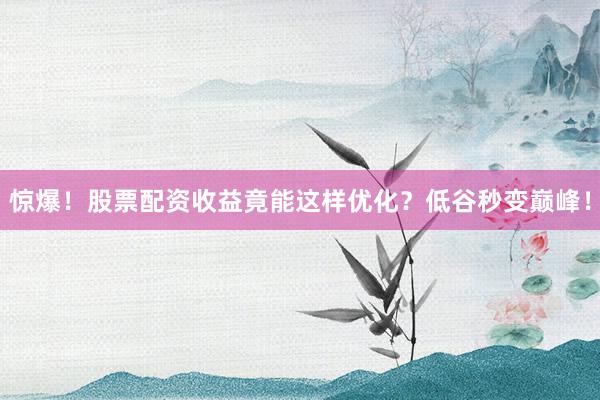 惊爆！股票配资收益竟能这样优化？低谷秒变巅峰！