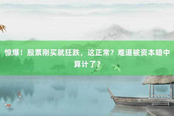 惊爆！股票刚买就狂跌，这正常？难道被资本暗中算计了？