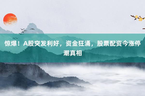 惊爆！A股突发利好，资金狂涌，股票配资今涨停潮真相