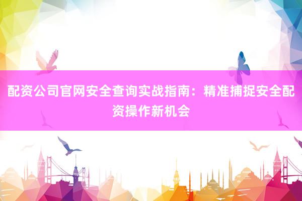 配资公司官网安全查询实战指南：精准捕捉安全配资操作新机会