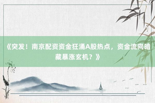 《突发!南京配资资金狂涌A股热点,资金流向暗藏暴涨玄机?》