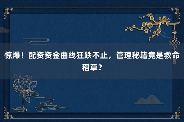 惊爆！配资资金曲线狂跌不止，管理秘籍竟是救命稻草？