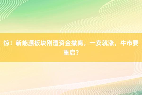 惊！新能源板块刚遭资金撤离，一卖就涨，牛市要重启？
